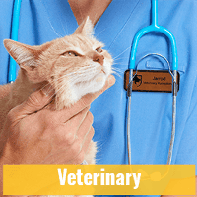 Veterinary Name Tags