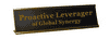 Proactive Leverager