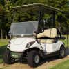White Golf Cart with a Custom License Plate Saying "Anderson"