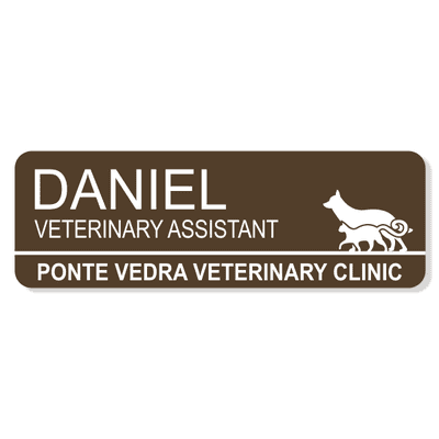 Dog and Cat Walking Together Veterinary Name Tag