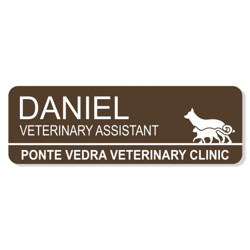 Dog and Cat Walking Together Veterinary Name Tag