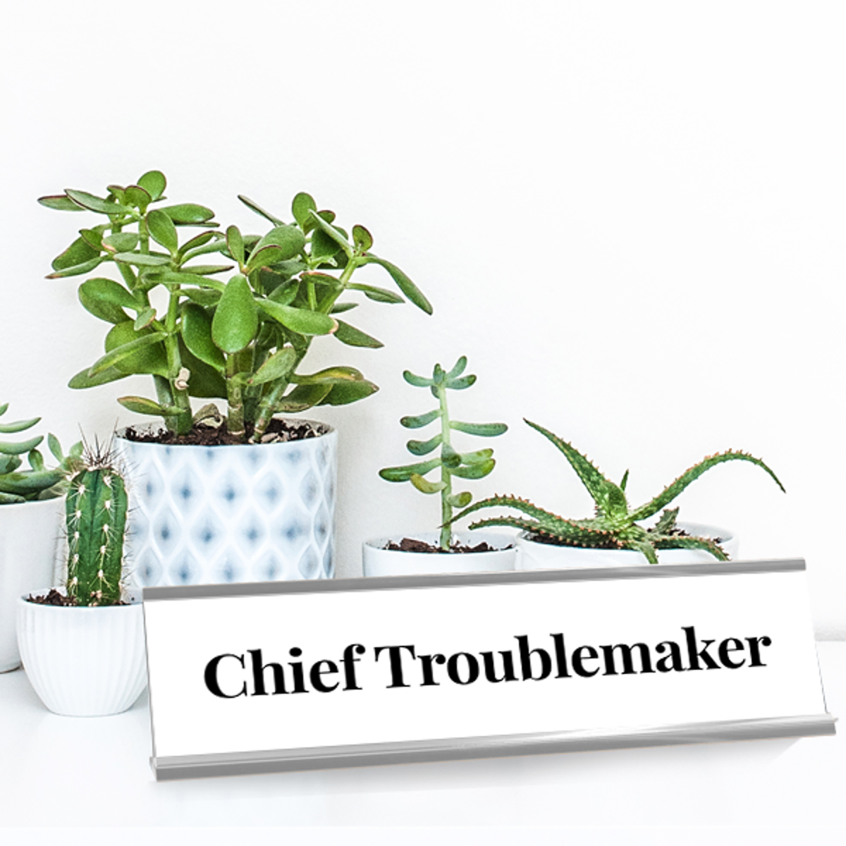 Chief Trouble Maker Engraved Plastic Funny Desk Plate with Aluminum Holder
