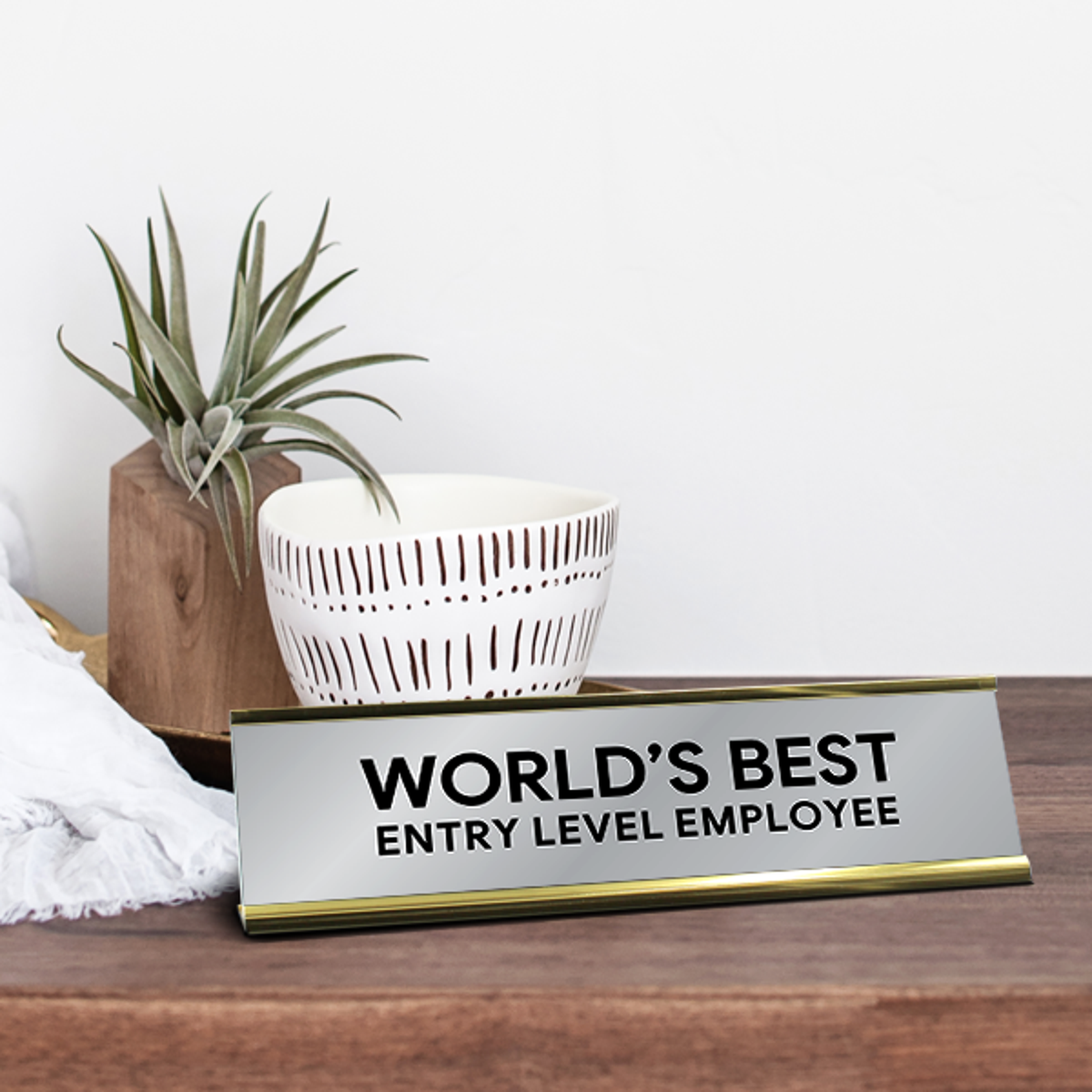 World's Best Entry Level Employee Engraved Plastic Funny Desk Plate with Aluminum Holder