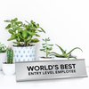 World's Best Entry Level Employee Funny Desk Plate On Desk