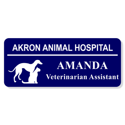 Veterinary Rectangle 3 Line Name Badge B