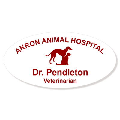 Greyhound with Cat Veterinary Oval Name Tag