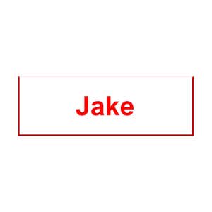 Jake From State Farm Name Tag
