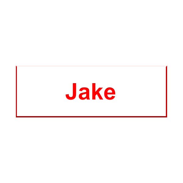 Jake From State Farm Name Tag