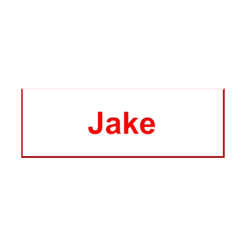 Jake From State Farm Name Tag