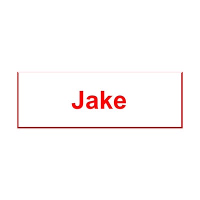 Jake Costume Name Tag - alternate view