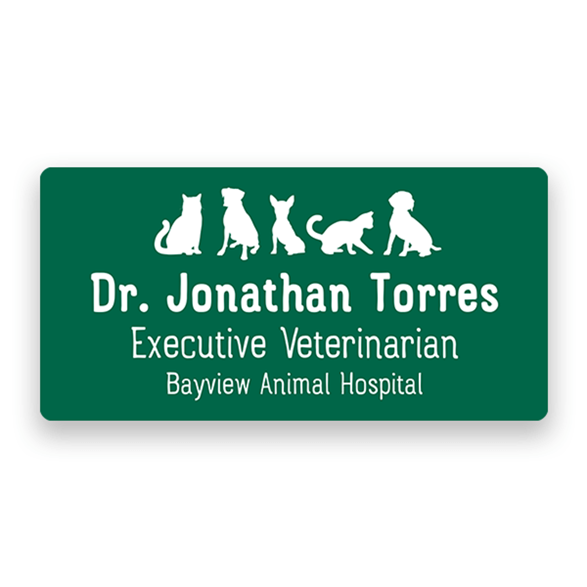 Veterinary Animals Name Tag
